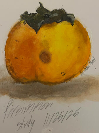 Persimmon study