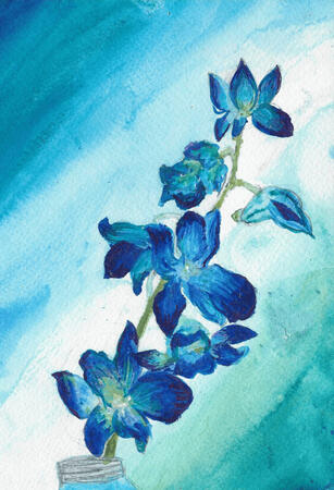 bloom
